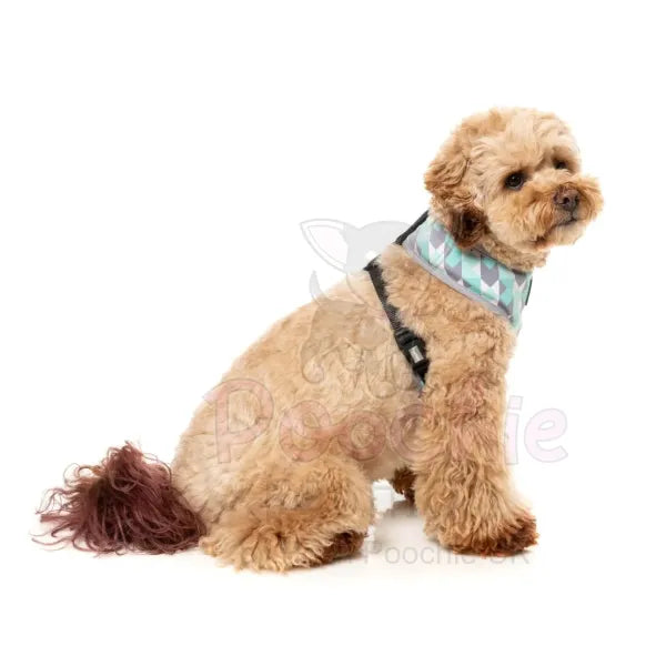 Mint Fizz Dog Harness by Fuzzyard Fuzzyard 4