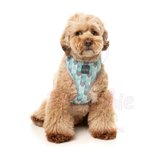 Mint Fizz Dog Harness by Fuzzyard Fuzzyard 2