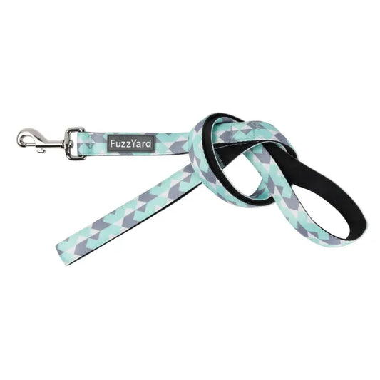 Mint Fizz Dog Lead by Fuzzyard - Fuzzyard - 1