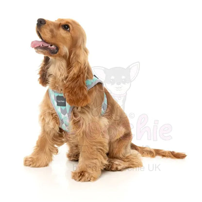 Mint Fizz Step in Dog Harness by Fuzzyard - Fuzzyard - 5