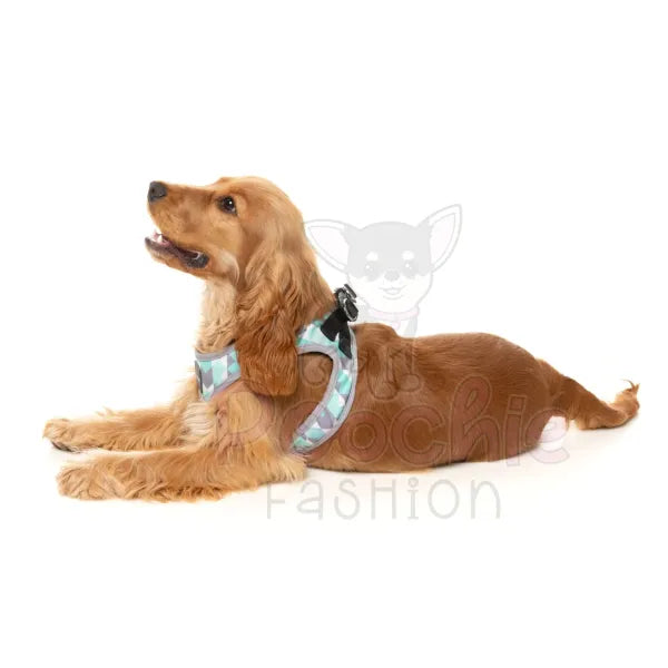 Mint Fizz Step in Dog Harness by Fuzzyard - Fuzzyard - 6