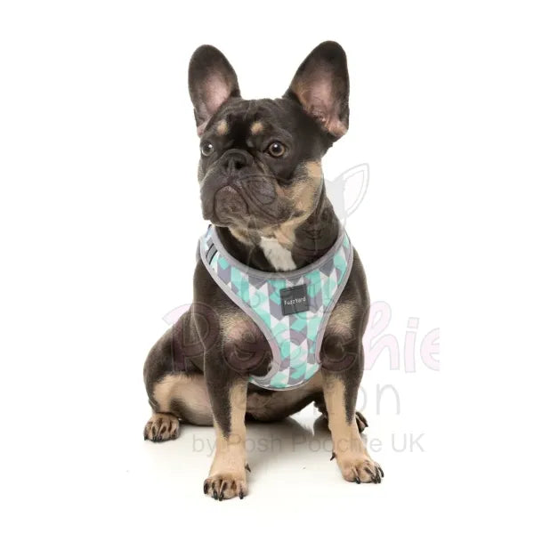 Mint Fizz Step in Dog Harness by Fuzzyard - Fuzzyard - 3