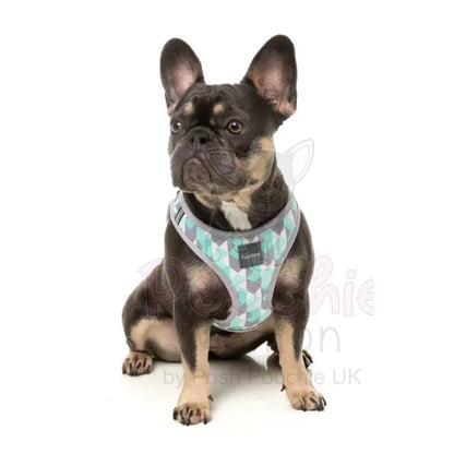 Mint Fizz Step in Dog Harness by Fuzzyard - Fuzzyard - 3