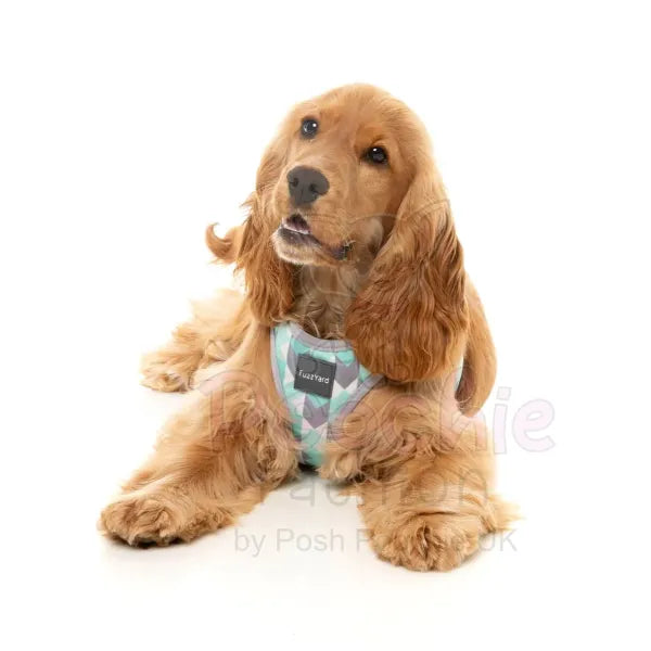 Mint Fizz Step in Dog Harness by Fuzzyard - Fuzzyard - 7