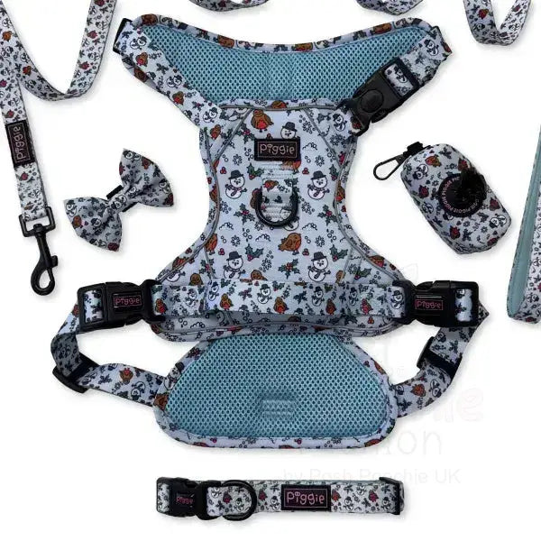 Mr Robin Festive Dog Lead - Piggie - 4