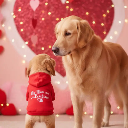 My Mum is my Valentine Dog Hoodie - Rich Paw - 2