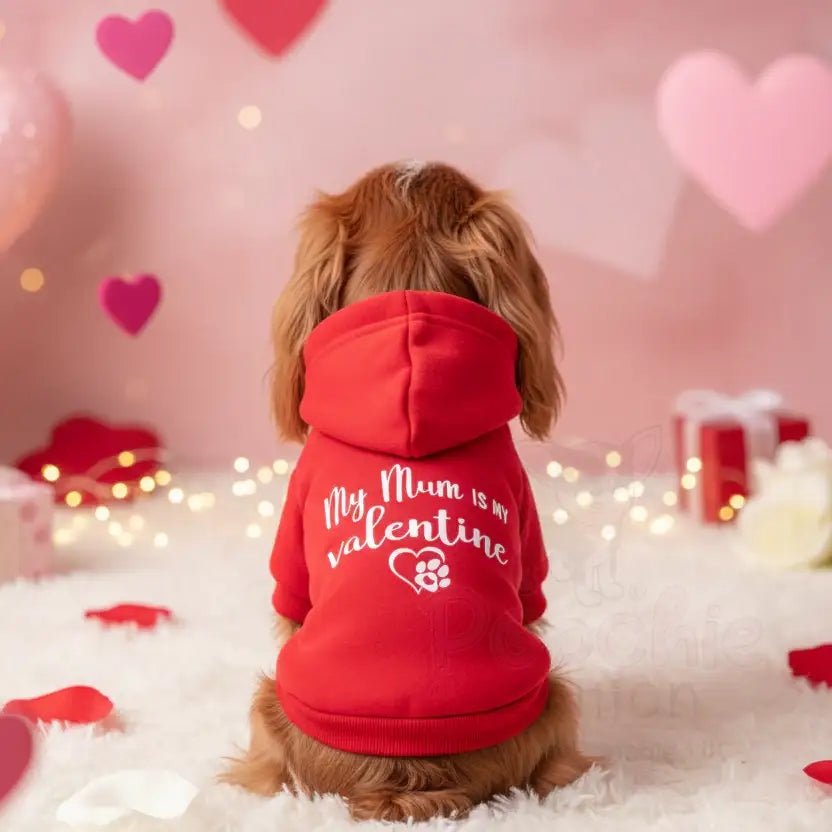 My Mum is my Valentine Dog Hoodie - Rich Paw - 3