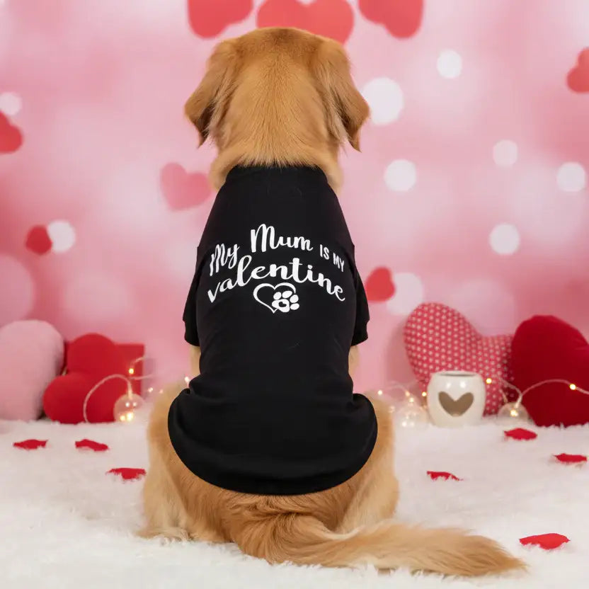 My Mum is my Valentine Dog T-shirt Black - Rich Paw - 1