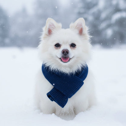 Navy Blue Knitted Dog Scarf - Sale - 1
