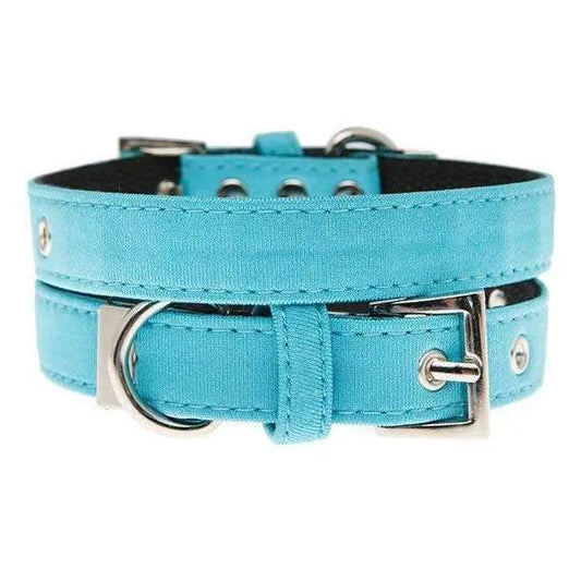 Neon Blue Fabric Dog Collar - Urban - 1