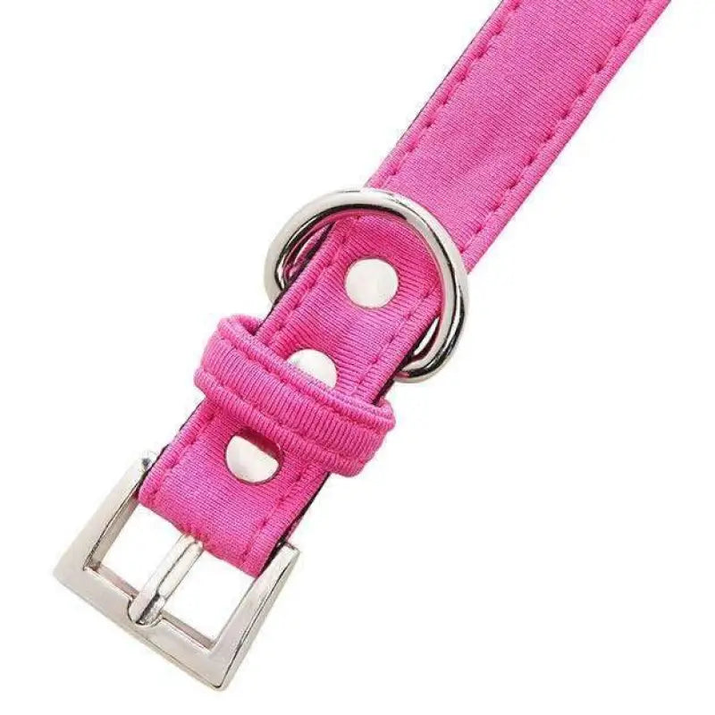 Neon Pink Fabric Dog Collar - Urban - 2