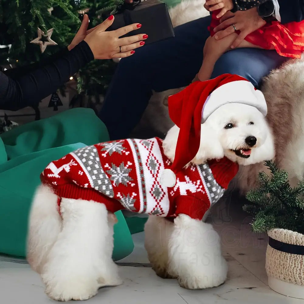 Nordic Reindeer Dog Jumper in Red - Posh Pawz - 3
