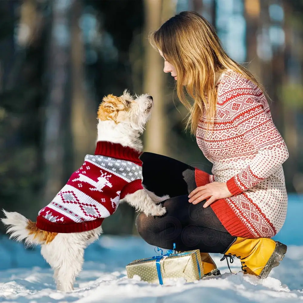 Nordic Reindeer Dog Jumper in Red - Posh Pawz - 5