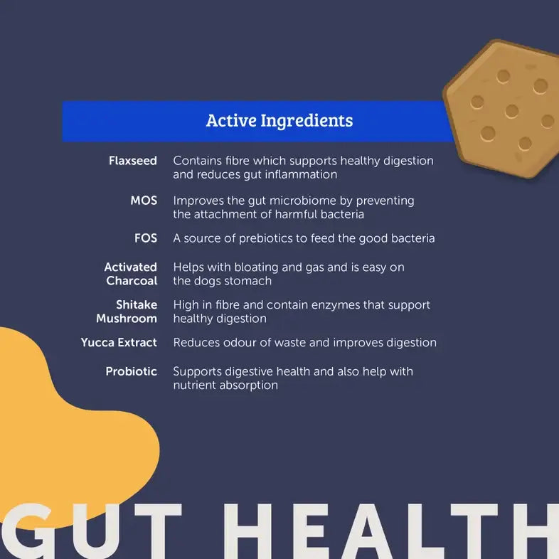 Nuri Vita Bites Dog Supplements - Gut Health - Nuri - 3