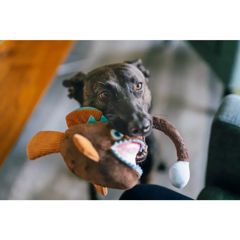 Ocean Buddies Angler Fish Dog Toy by P.l.a.y - P.l.a.y - 5