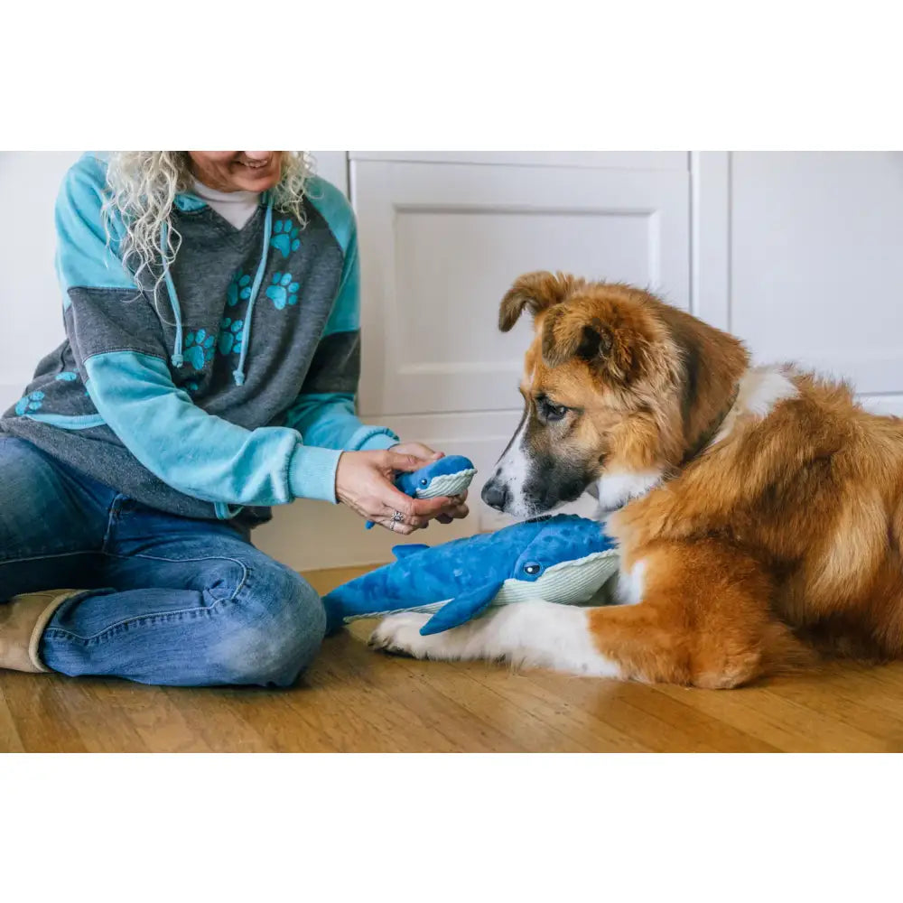 Ocean Buddies Big Blue & Baby Blue Whales Dog Toy by P.l.a.y - P.l.a.y - 3