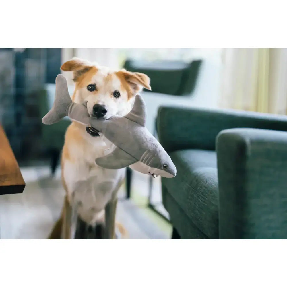 Ocean Buddies Great White Shark Large Dog Toy by P.l.a.y - P.l.a.y - 3