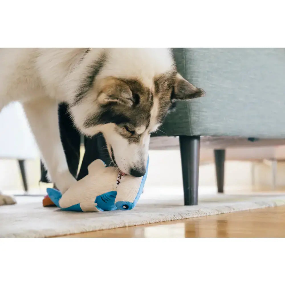 Ocean Buddies Hammerhead Shark Large Dog Toy by P.l.a.y - P.l.a.y - 5
