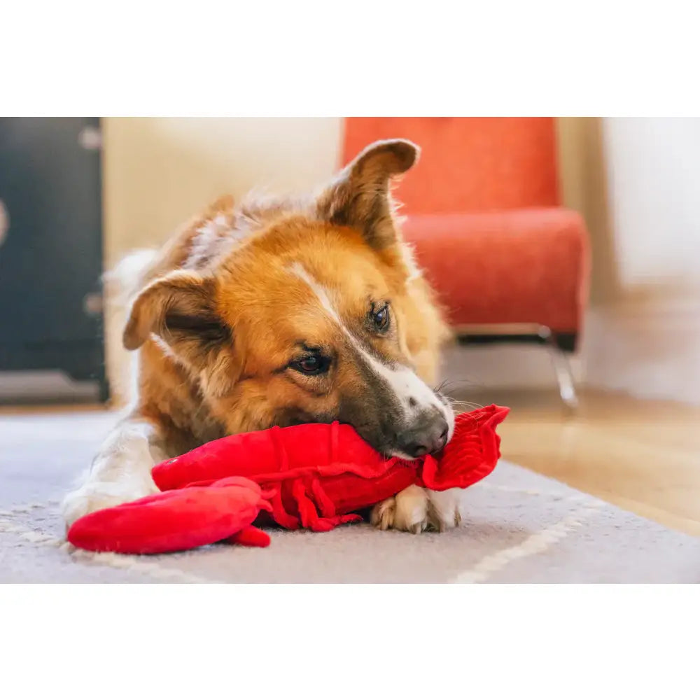 Ocean Buddies Lobster Dog Toy by P.l.a.y - P.l.a.y - 3