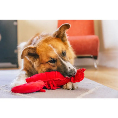 Ocean Buddies Lobster Dog Toy by P.l.a.y - P.l.a.y - 3