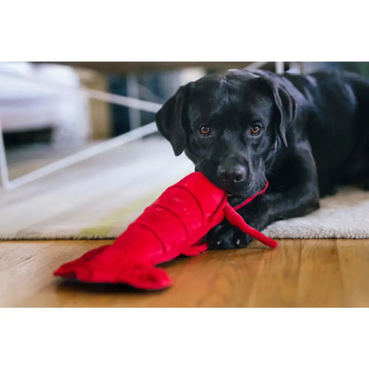 Ocean Buddies Lobster Dog Toy by P.l.a.y - P.l.a.y - 5