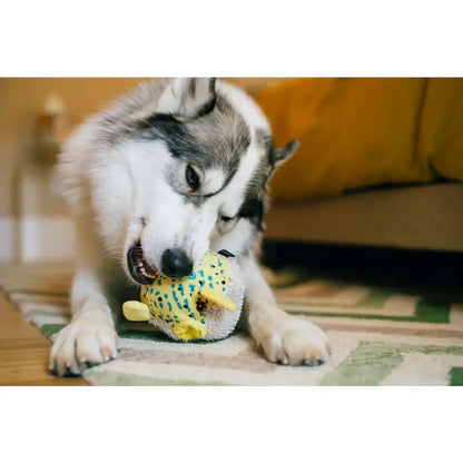 Ocean Buddies Puffer Fish Dog Toy by P.l.a.y - P.l.a.y - 4