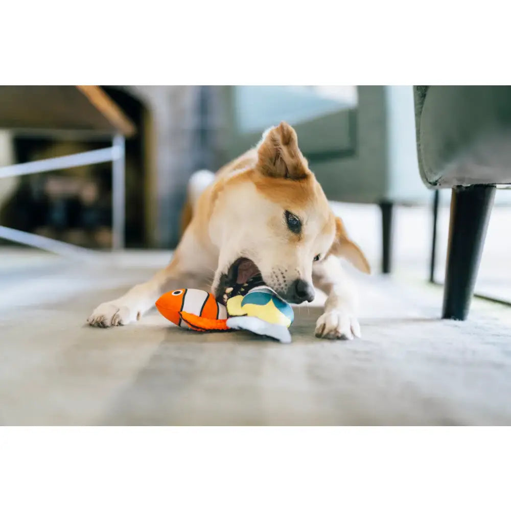 Ocean Buddies Reef Retreat Dog Toy by P.l.a.y - P.l.a.y - 9