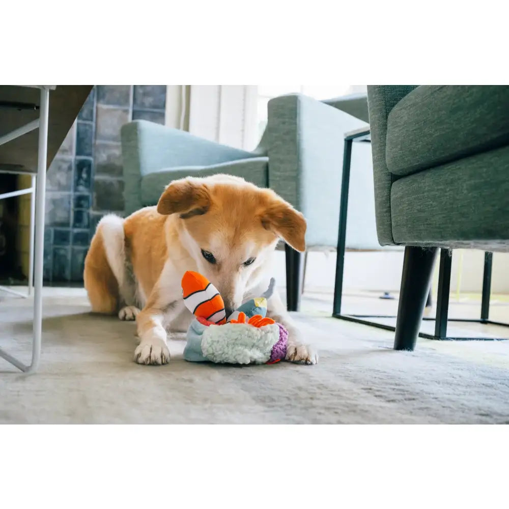 Ocean Buddies Reef Retreat Dog Toy by P.l.a.y - P.l.a.y - 4