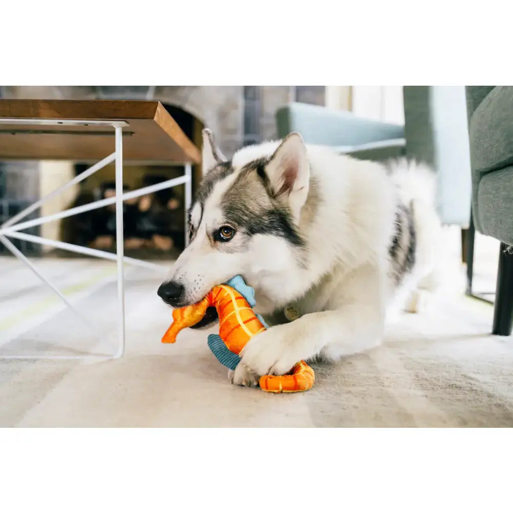 Ocean Buddies Seahorse Dog Toy by P.l.a.y - P.l.a.y - 3
