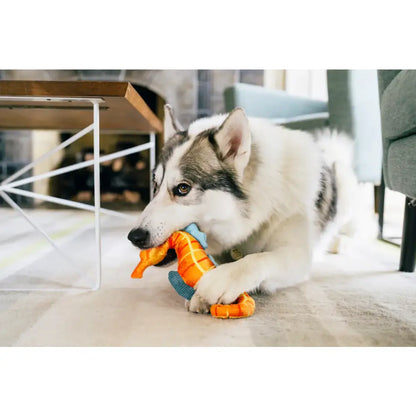 Ocean Buddies Seahorse Dog Toy by P.l.a.y - P.l.a.y - 3