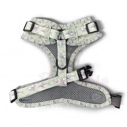 Ocean Predator Adjustable Neck Dog Harness - Piggie - 3