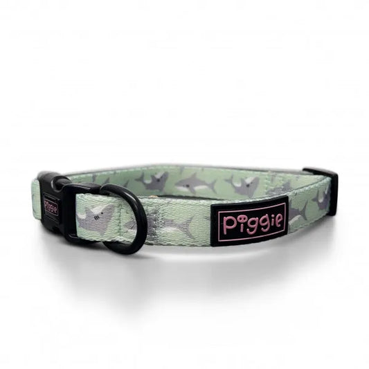 Ocean Predator Dog Collar - Piggie - 1