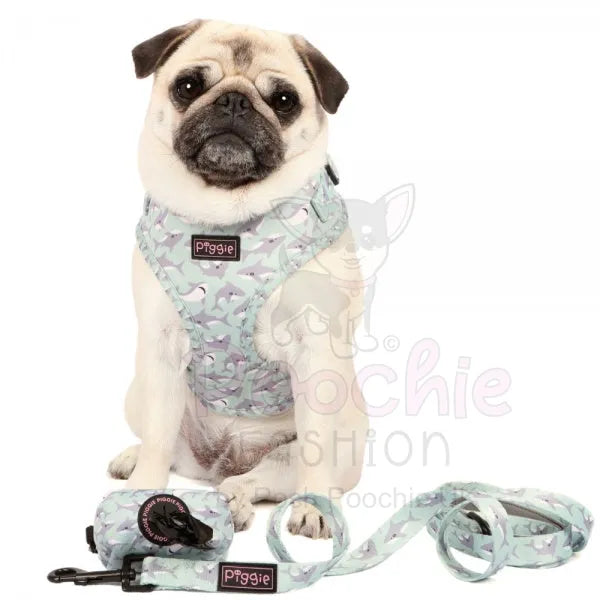 Ocean Predator Dog Lead - Piggie - 3