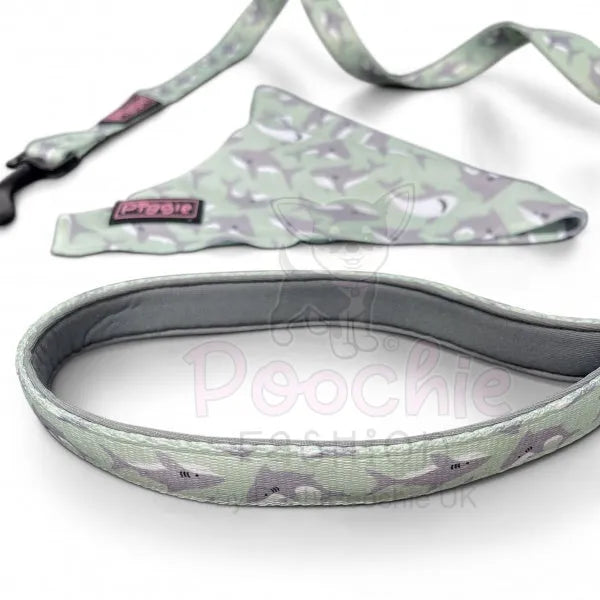 Ocean Predator Dog Lead - Piggie - 2