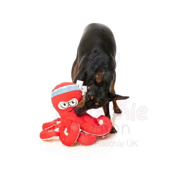 Octo-posse Dog Toy - Takoyaki by Fuzzyard - Fuzzyard - 4