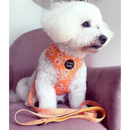 Orange Daisies Dog Harness - Sale - 4