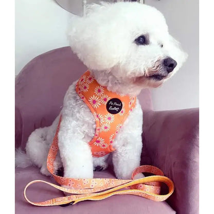 Orange Daisies Dog Harness Xs - Sale - 4