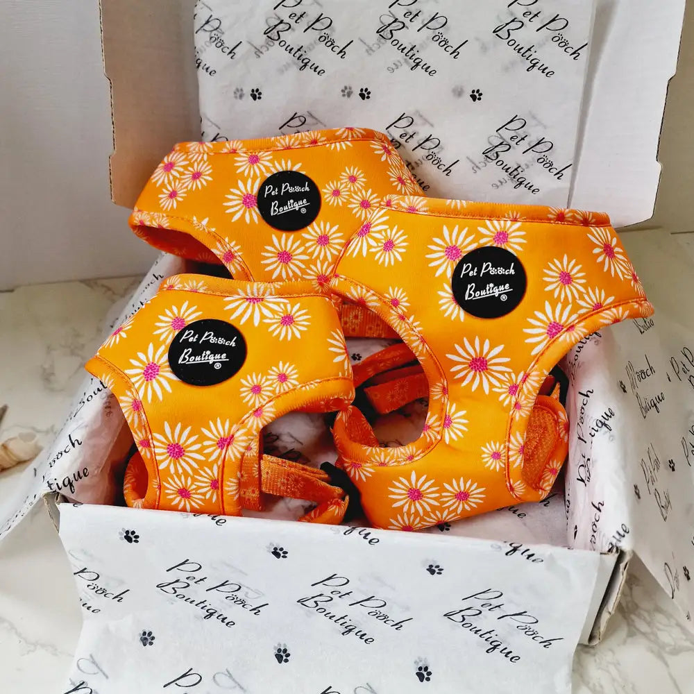Orange Daisies Dog Harness Xs - Sale - 1
