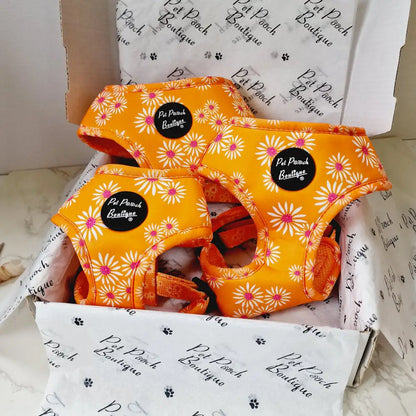Orange Daisies Dog Harness Xs - Sale - 1