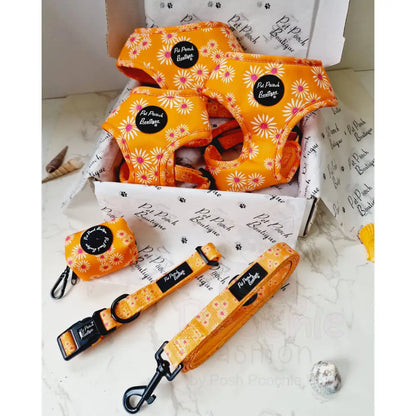 Orange Daisies Dog Harness Xs - Sale - 5