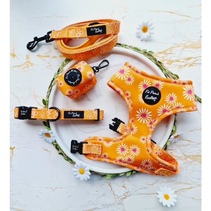 Orange Daisies Puppy Dog Collar - Pet Pooch - 2