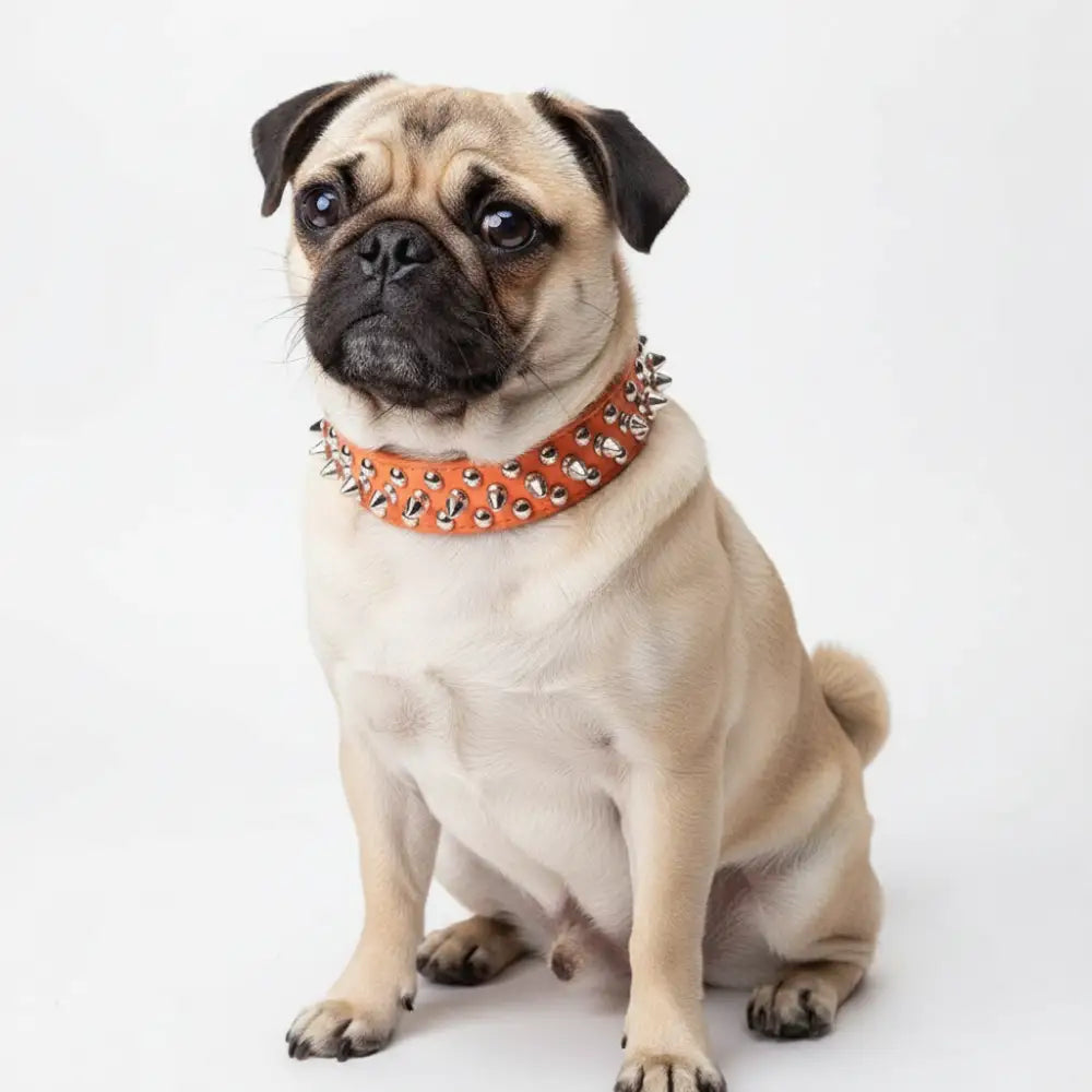 Orange Metro Spike Vegan Leather Dog Collar - Posh Pawz - 2