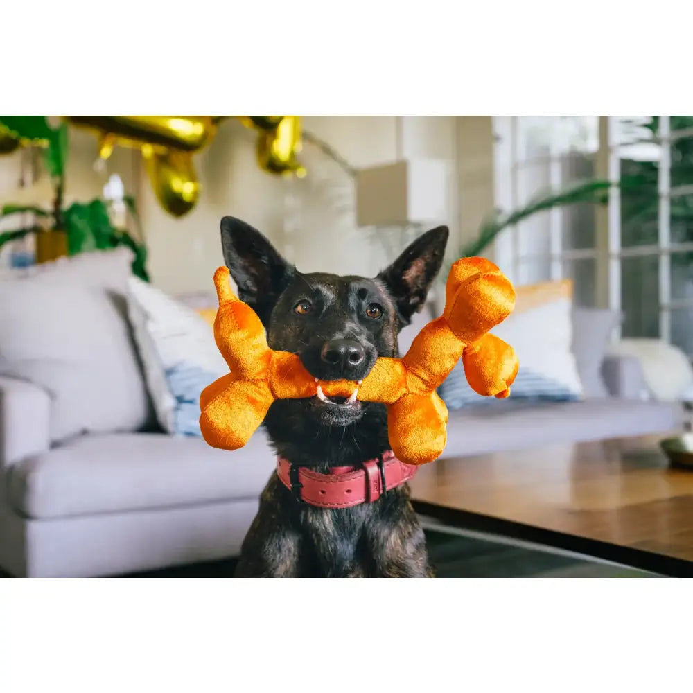 Party Animal Balloon Buddy Dog Toy by P.l.a.y - P.l.a.y - 3