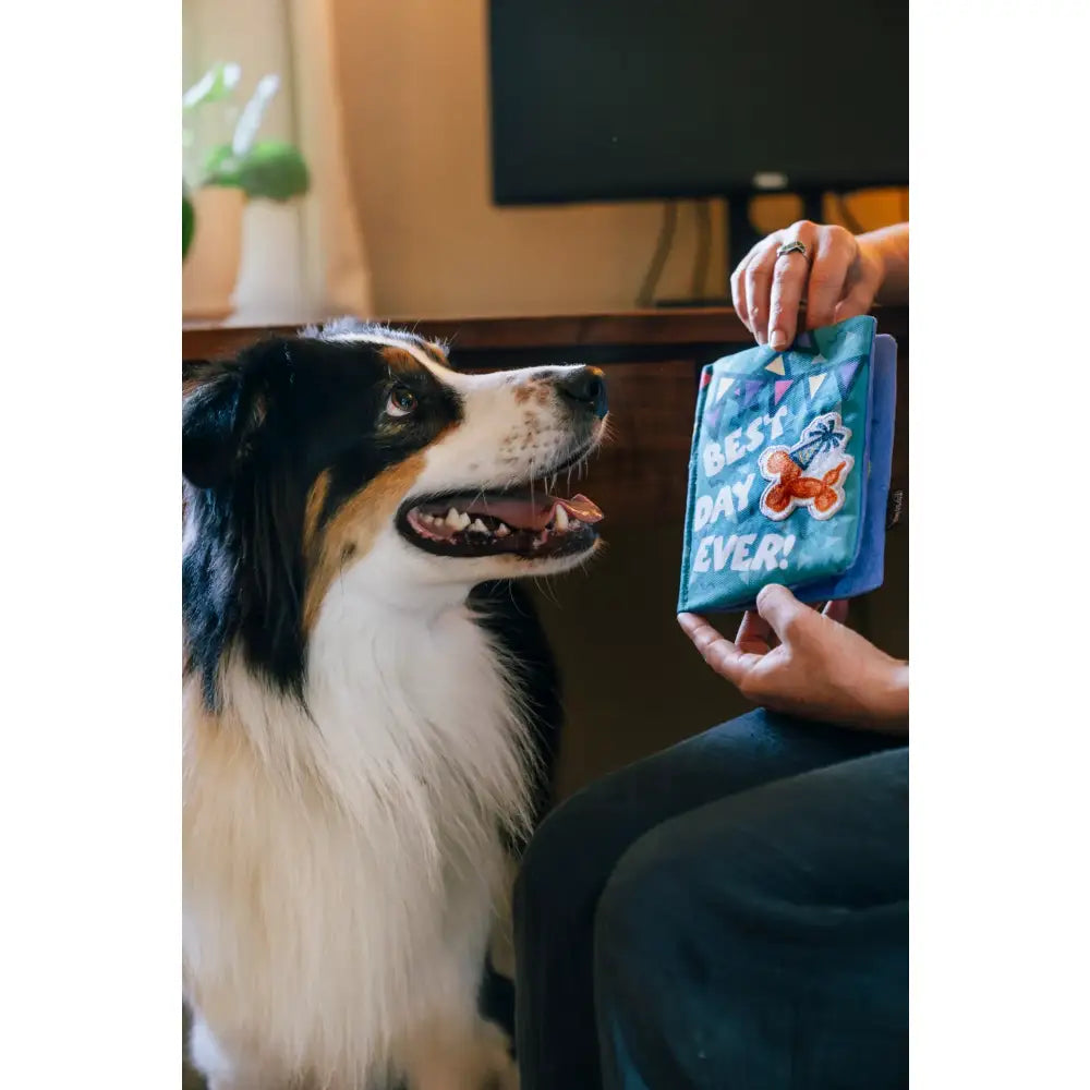 Party Animal Barkday Wishes Birthday Card Dog Toy by P.l.a.y - P.l.a.y - 7