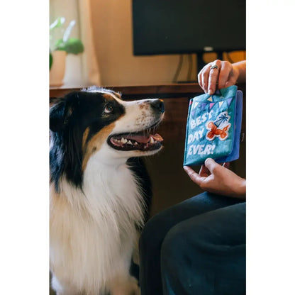 Party Animal Barkday Wishes Birthday Card Dog Toy by P.l.a.y - P.l.a.y - 7