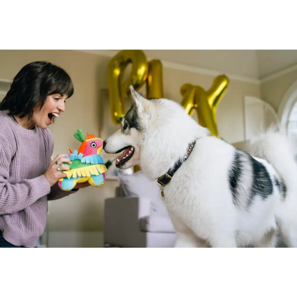 Party Animal Fiesta Fetch Pinata Dog Toy by P.l.a.y - P.l.a.y - 4