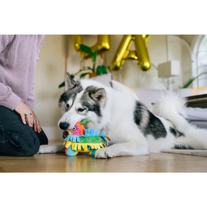 Party Animal Fiesta Fetch Pinata Dog Toy by P.l.a.y - P.l.a.y - 6