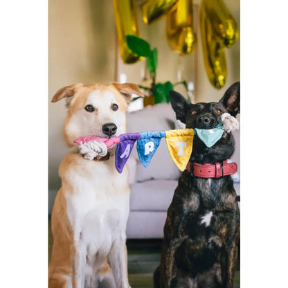 Party Animal Tug N’ Party Banner Dog Toy by P.l.a.y - P.l.a.y - 5