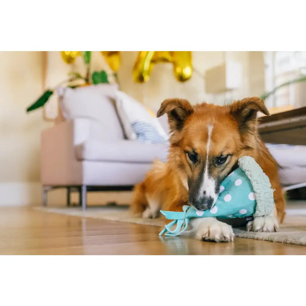 Party Animal Yappy Party Hat Dog Toy by P.l.a.y - P.l.a.y - 6