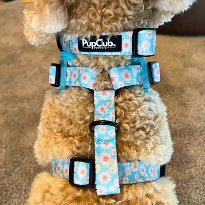 Pastel Daisy Dog Collar - Pupclub Couture - 3